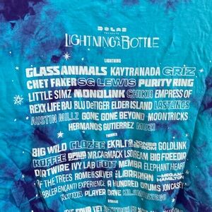2022 Lightning In A Bottle Large T-Shirt